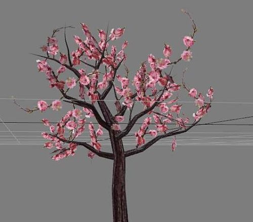 Garden Flowering Peach Tree