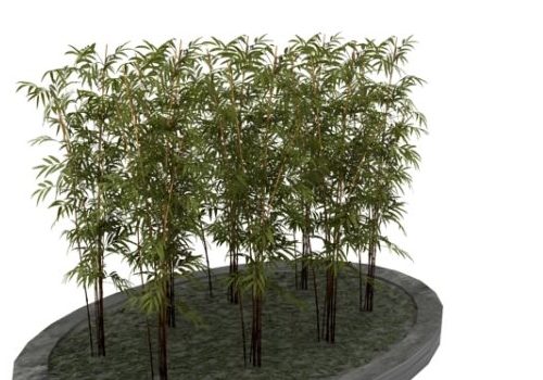 Bamboo Plant Landscape Decoration