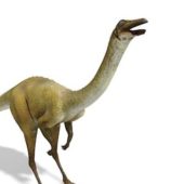 Prehistoric Animal Ornithomimus Dinosaur Animals