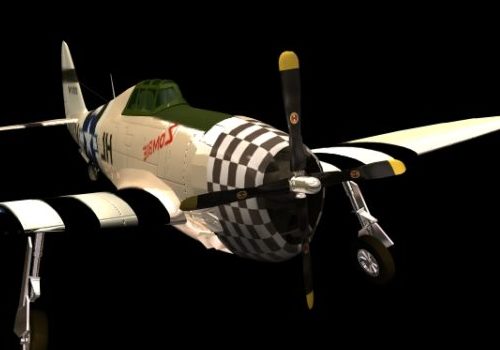 Military P-47 Thunderbolt Fighter Aircraft