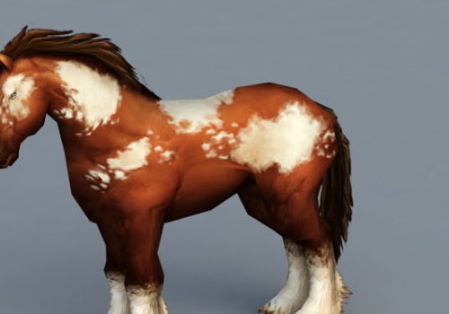 Wild Paint Horse