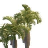 Green Palmyra Palm Trees