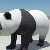 Cute Panda Bear Character