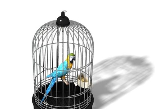 Parrot In A Bird Cage Animals