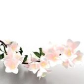 Japanese Blossom Flower