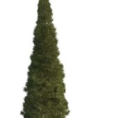 Nature Green Pencil Pine Tree