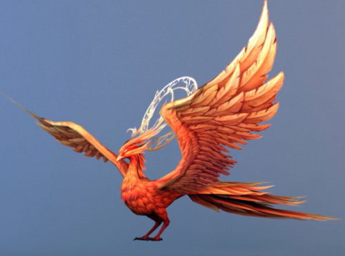 Phoenix Bird Animal