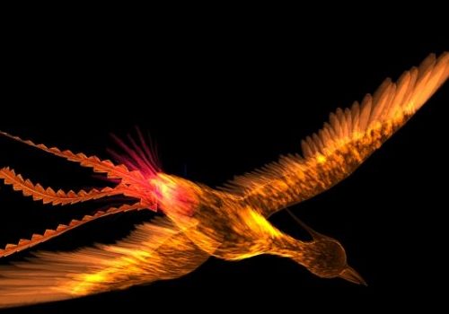 Phoenix Bird Animated & Rigged | Animals