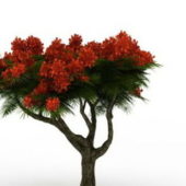 Wild Pine Tree Red Flower