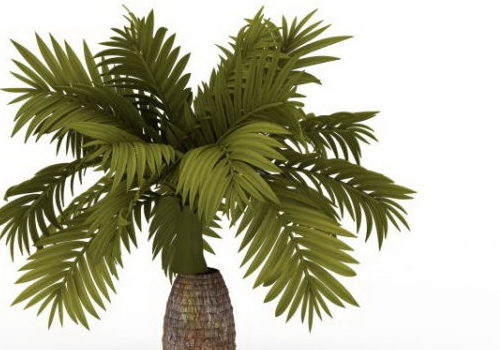 Green Pineapple Palm Tree