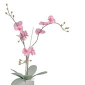 Pink Flower In White Pot