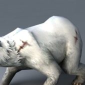 Polar Bear Animal Animated Rigged