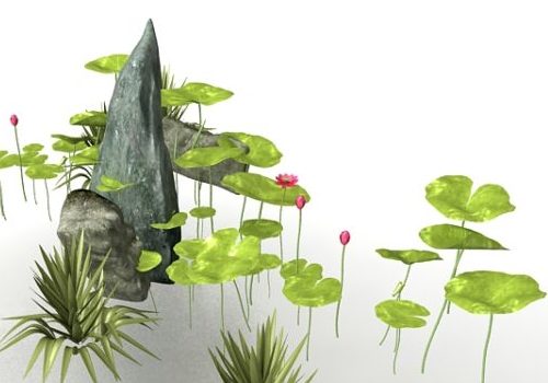 Pond Lotus With Rock Decor