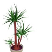 Indoor Potted Palm Plant V1 V1