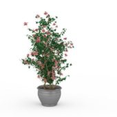 Garden Potted Plant With Flowers