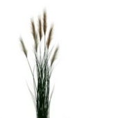 Potted Reed Green Grass