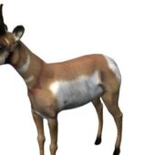 Pronghorn Low Poly Animal Animals