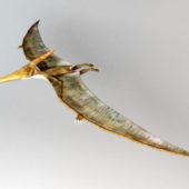 Animal Pteranodon Flying Dinosaur