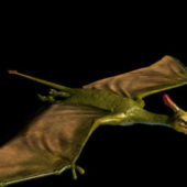 Pterosaur Dinosaur Animation