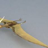 Pterosaur Flying Reptiles Dinosaur | Animals