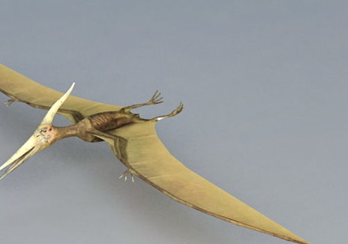 Pterosaur Flying Reptiles Dinosaur | Animals