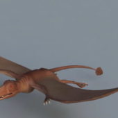 Pterosaur Dinosaur Skeleton