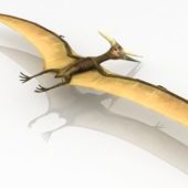Pterosaur Dinosaur Flying Animal Animals