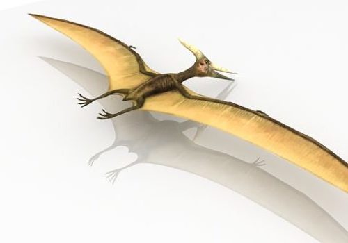 Pterosaur Dinosaur Flying Animal Animals