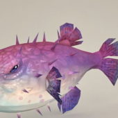 Purple Puffer Fish | Animals