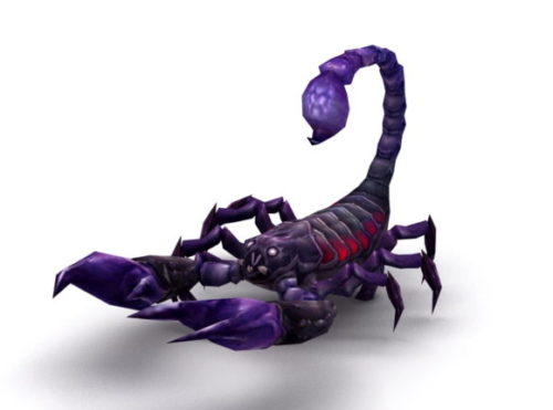 Animal Scorpion Rig