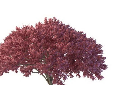 Purple Blooming Green Tree