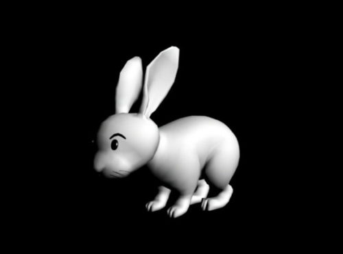 Animal Rabbit