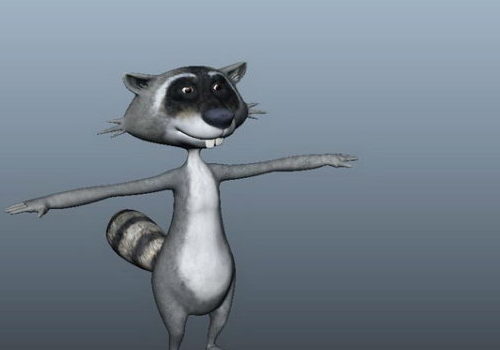 Character Raccoon Cartoon
