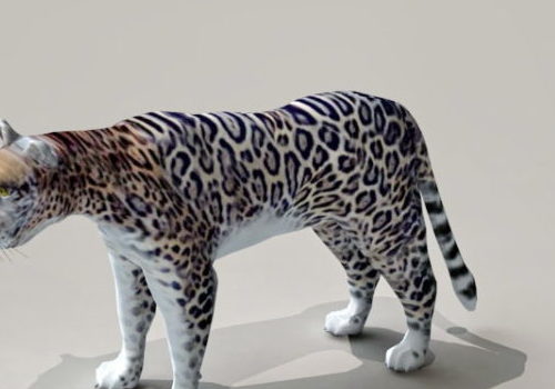 Rainforest Animal Jaguar | Animals