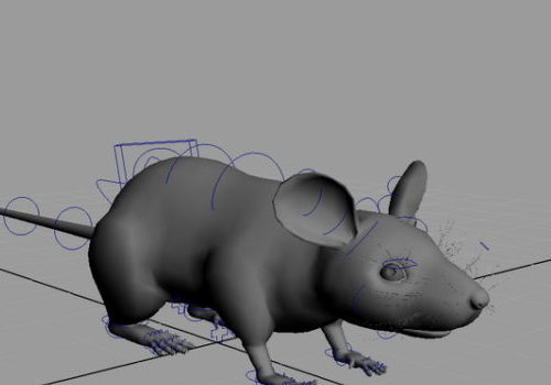 Animal Rat Mouse Rigged
