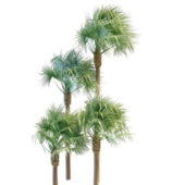 Realistic Fan Palms Tree