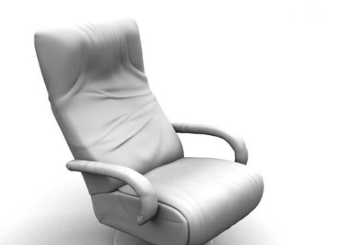 Reclining Armchair | Furniture