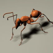 Animal Red Ant