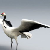 Red Crane Bird Wild Animal