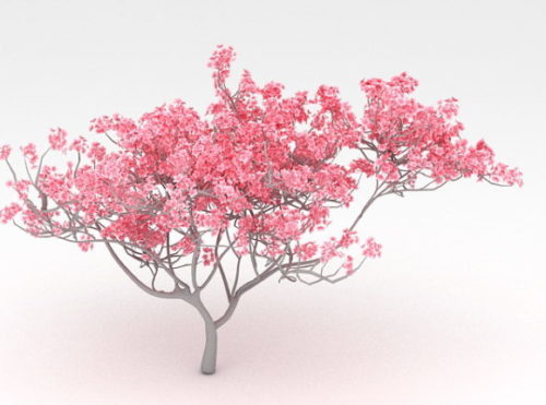 Nature Red Flowering Tree