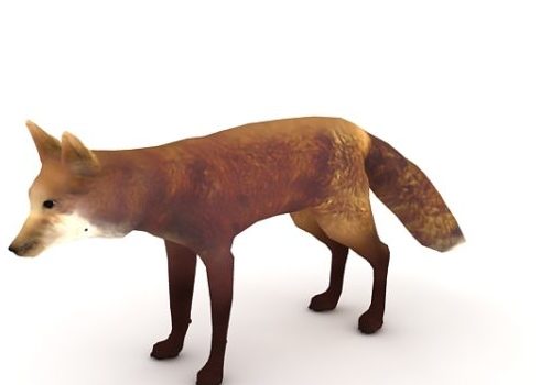 Red Fox Low Poly Animal Animals