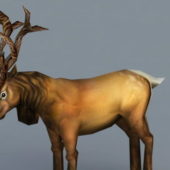 Red Stag Deer Animal