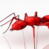 Red Ant Lowpoly Animal Animals