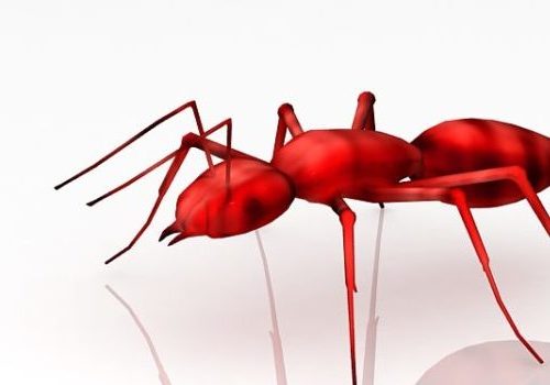 Red Ant Lowpoly Animal Animals