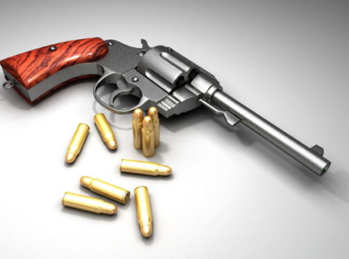Revolver Gun And Bullets