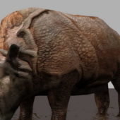 Animal Rhino Rigged Animated