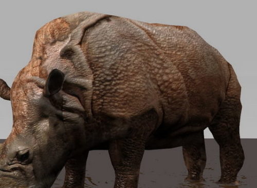 Animal Rhino Rigged Animated