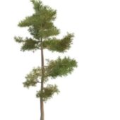 Nature Green Russian Pine