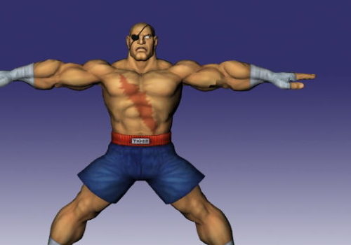Sagat In Street Fighter | Characters