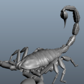 Lowpoly Scorpion Animal